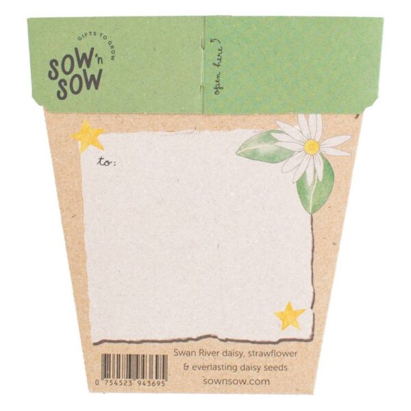 SOW 'N SOW Gift of Seeds - Christmas Native Daisies - Image 2