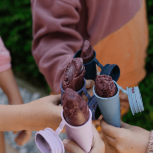 SEED & SPROUT Icy Pole Set